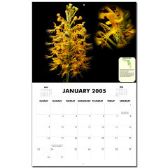 Florida Native Orchids Calendar