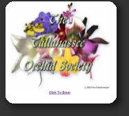 The Tallahassee Orchid Society - all pages and graphics by Prem Subrahmanyam