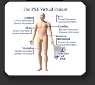 PXE Virtual Patient - Example page